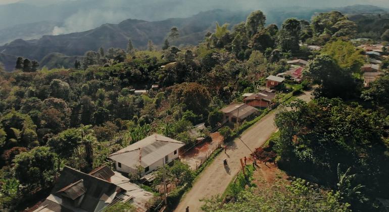 Colômbia: Missão da ONU verifica reforma rural e representação indígena no processo de paz