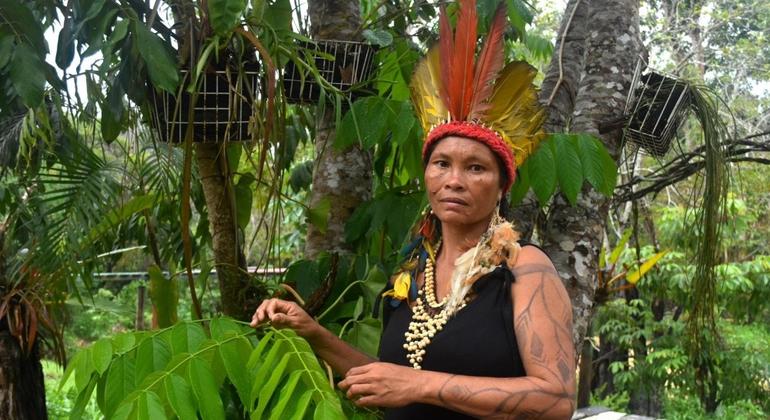 'Não temos medo': mulheres indígenas brasileiras enfrentam violência de gênero
