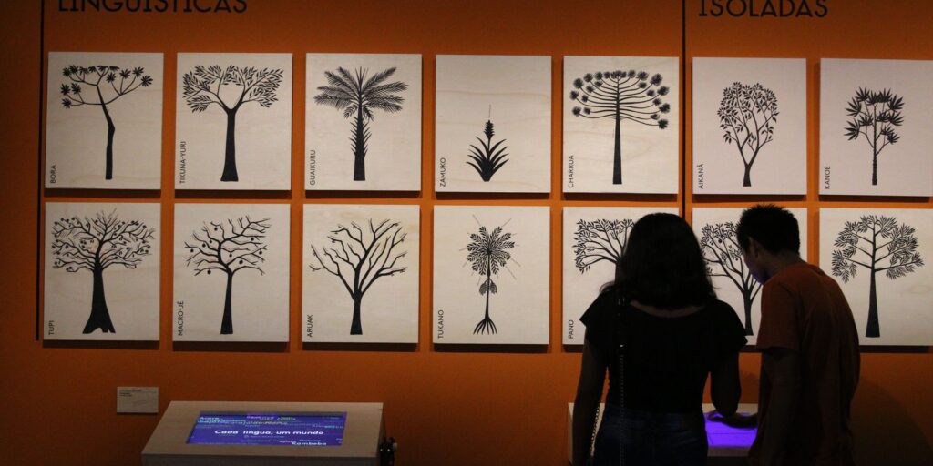 Em São Paulo, exposição sobre línguas indígenas ganha versão virtual